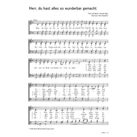 Produktbild des Artikels Herr, du hast alles so wunderbar gemacht (Noten - Download)