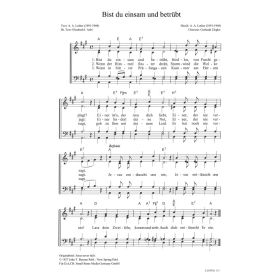 Produktbild des Artikels Bist du einsam und betrübt / Jesus never fails (Noten - Download)