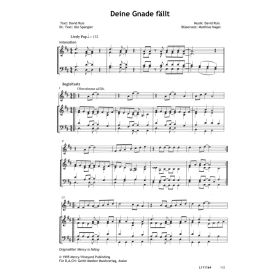 Produktbild des Artikels Deine Gnade fällt / Mercy is falling (Noten - Download)
