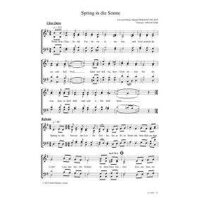 Produktbild des Artikels Spring in die Sonne (Noten - Download)
