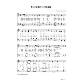 Produktbild des Artikels Stern der Hoffnung (Noten - Download)
