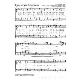 Produktbild des Artikels Engel bringen frohe Kunde/ Les Anges Dans Nos Campagnes (Noten - Download)