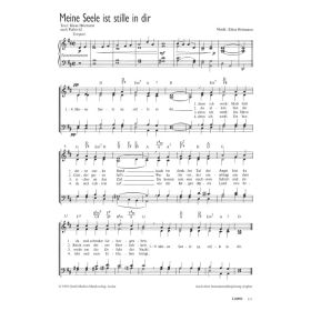 Produktbild des Artikels Noten - Download Meine Seele ist stille in dir