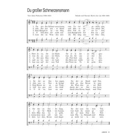 Produktbild des Artikels Du großer Schmerzensmann (Noten - Download)