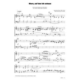 Produktbild des Artikels Noten - Download Stern, auf den ich schaue