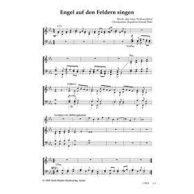 Produktbild des Artikels Engel auf den Feldern singen (Noten - Download)