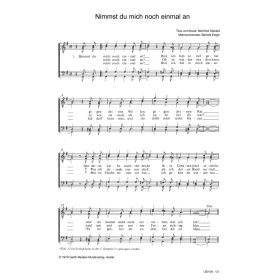 Produktbild des Artikels Nimmst du mich noch einmal an (Noten - Download)