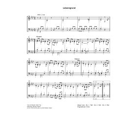Produktbild des Artikels Noten - Download Lebensgrund