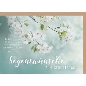 Produktbild des Artikels Faltkarte "Segenswünsche zum Geburtstag" - Blüten (Schreibwaren)