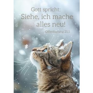 Produktbild des Artikels Jahreslosung 2026 - Postkarten "Katze" 12 Stück (Schreibwaren)