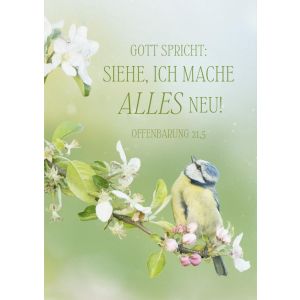 Produktbild des Artikels Jahreslosung 2026 - Poster A3 "Vogel" ()