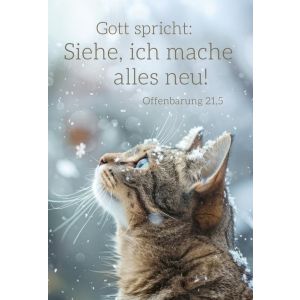 Produktbild des Artikels Jahreslosung 2026 - Poster A4 "Katze" ()