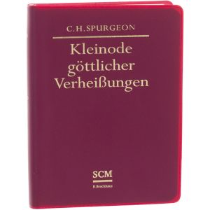 Produktbild des Artikels Kleinode göttlicher Verheißungen (Buch - Plastik)