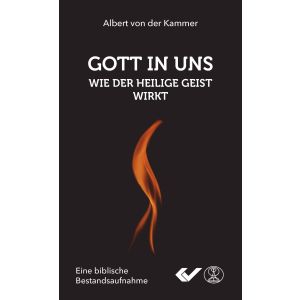 Produktbild des Artikels Gott in uns - Wie der Heilige Geist wirkt (Buch - Taschenbuch)