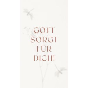Produktbild des Artikels Metallschild: Gott sorgt für Dich! ()