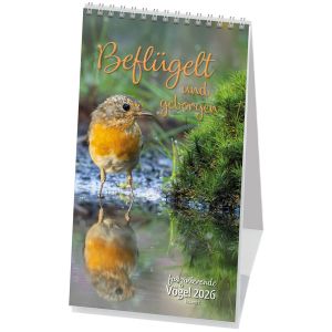 Produktbild des Artikels Beflügelt und geborgen 2026 - Postkartenkalender (Kalender - Spiralbindung)