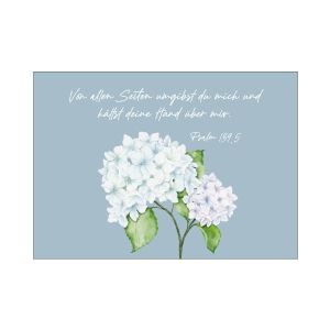 Produktbild des Artikels Postkarte "Hortensie" (Schreibwaren)