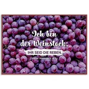 Produktbild des Artikels Metallschild klein - Weinstock ()