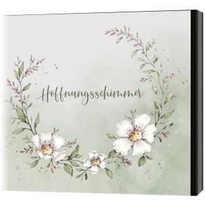 Produktbild des Artikels Hoffnungsschimmer (Audio - CD)