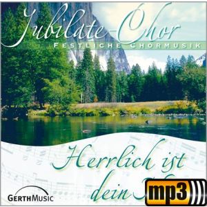 Produktbild des Artikels Herrlich ist dein Name (MP3-Album - Download)