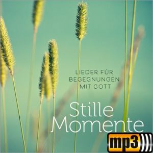 Produktbild des Artikels The Summons (MP3-Track - Download)