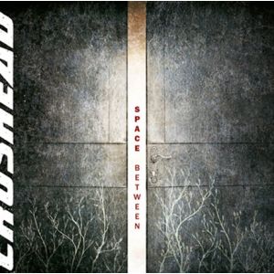 Produktbild des Artikels Space Between (MP3-Album - Download)