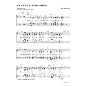 Produktbild des Artikels Nie will ich an dir verzweifeln (Noten - Download)