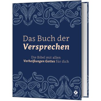 Produktbild - Das Buch der Versprechen