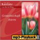 Du bist ein verborgener Gott - Zwischenmusik (Playback o. Backings)