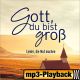 Deine Liebe (Herr wohin sollte ich gehen) (Playback)