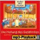 Begeistert von Jesus (Playback)