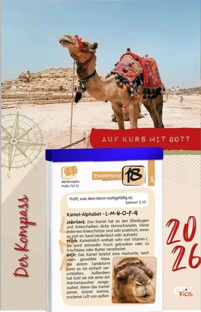 Der Kompass - Abreißkalender 2025 (Kalender)