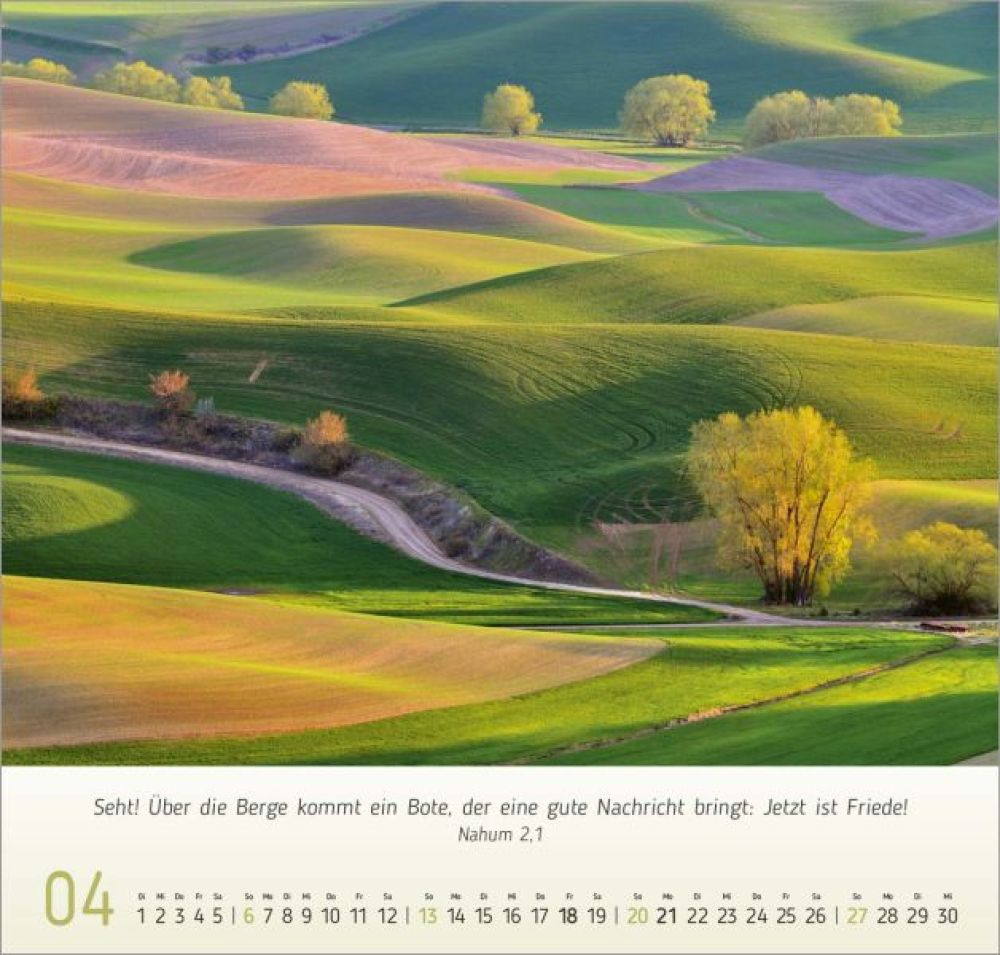 LichtImpressionen 2025 Wandkalender SCM Shop.de