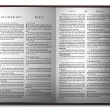 Die Bibel - The Bible (Deutsch/Englisch)