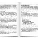 Stimmungsbild zu Lutherbibel revidiert 2017 - NT - Großdruck