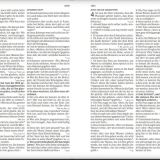 Luther21 - Neues Testament "Frisches Wasser"