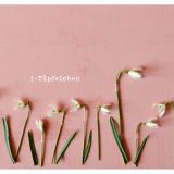 Stimmungsbild zu Postkartenbuch "für dich"