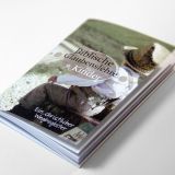 Stimmungsbild zu Biblische Glaubenslehre für Kinder