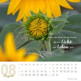 Stimmungsbild zu Meine Zeit 2026 - Verteilkalender