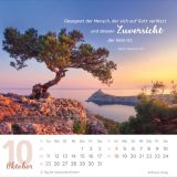 Stimmungsbild zu Meine Zeit 2026 - Verteilkalender