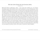 Stimmungsbild zu Meine Zeit 2026 - Verteilkalender