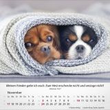 Hunde 2024 - Tischkalender