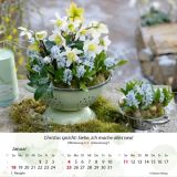 Stimmungsbild zu Gärten 2026 - Tischkalender