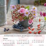 Stimmungsbild zu Gärten 2026 - Tischkalender