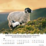 Ein Leben für die Schafe 2024 - Tischkalender