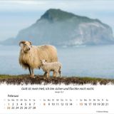 Stimmungsbild zu Ein Leben für die Schafe 2026 - Tischkalender