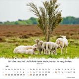 Stimmungsbild zu Ein Leben für die Schafe 2026 - Tischkalender