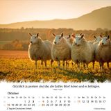 Stimmungsbild zu Ein Leben für die Schafe 2026 - Tischkalender