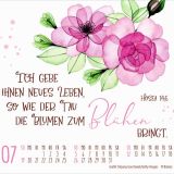 Stimmungsbild zu Geschützt in seiner Hand 2026 - Minikalender