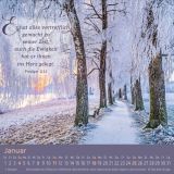Stimmungsbild zu Weg-Licht-Leben 2026 - Tischkalender